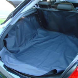 Category image for Boot Liners