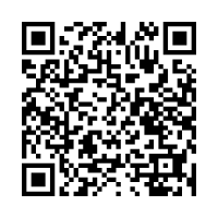 QR Code Erdington