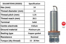 Spark Plug Nissan Renault 14-23