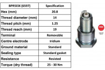 Spark Plug Audi BMW Honda Nissan Toyota VW 61-13