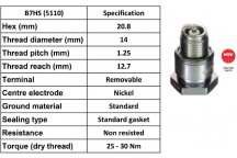 Spark Plug BMW Fiat Ford Porsche Renault 50-81