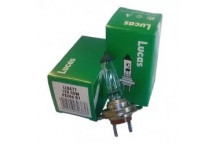 Bulb - Daytime Running Light Land Rover Audi Chevrolet Chrys