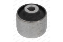 Mounting - Control/Trailing Arm VW 16-24