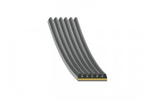 V-Ribbed Belt Mercedes 04-12