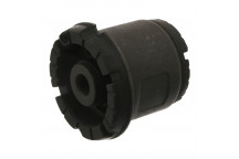 Bushing - Axle Beam Citroen 99-12