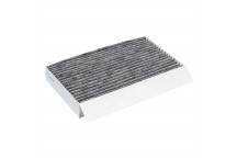 Filter Renault 08-17