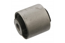 Mounting - Control/Trailing Arm Mercedes 11-19