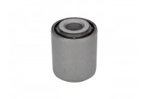 Mounting - Control/Trailing Arm Mini 01-16