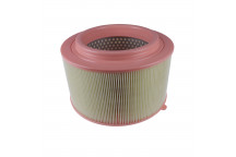 Air Filter Ford 11-21