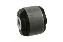 Mounting - Control/Trailing Arm Renault 93-01