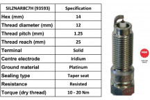 Spark Plug Ford 12-23