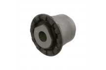 Bushing - Axle Cross Member Ford 00-07