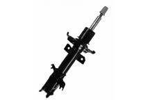 Shock Absorber Ford 08-18