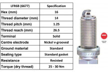 Spark Plug Citroen Peugeot 99-21