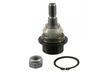 Ball Joint Ford 00-24