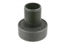 Bushing - Axle Cross Member Renault 98-10