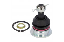 Ball Joint Toyota 02-10