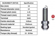 Spark Plug Land Rover 14-22