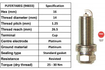 Spark Plug Audi Seat Skoda VW 07-24