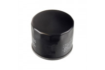 Oil Filter Ford 13-22