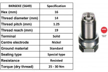 Spark Plug Smart 98-07