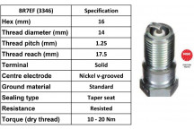 Spark Plug Jaguar Peugeot 73-03