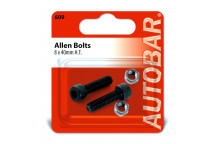 Autobar Allen Bolts 8mm x 40mm Pack of 2