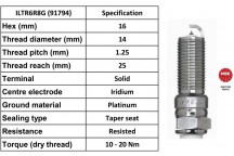 Spark Plug Ford 15-18
