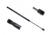 GAS SPRING R AUDI TT 06-10