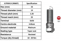 Spark Plug Ford 07-19
