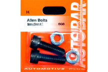 Autobar Allen Bolts 8mm x 25mm Pack of 2