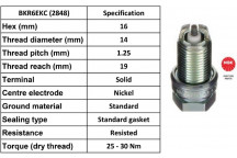 Spark Plug Fiat Lotus 92-12