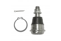 Ball Joint Nissan 00-06