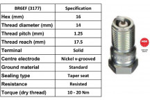 Spark Plug Jaguar 81-03