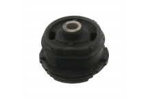 Bushing - Axle Beam Mercedes 95-03