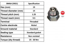 SPARK PLUG LAWNMOWER BM6A