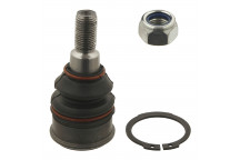 Ball Joint Honda 99-08