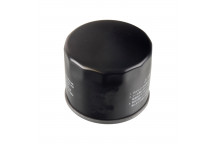Oil Filter Ford 12-19