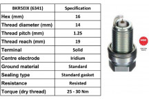 Spark Plug Citroen Dacia Fiat Hyundai Kia Mazda Nissan Saab
