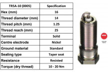 Spark Plug Ford 92-04