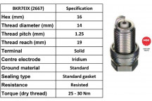Spark Plug Rover Jaguar Lotus Nissan Porsche Volvo 90-08