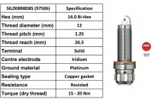 Spark Plug BMW 06-21