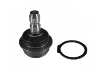 Ball Joint Chevrolet 10-20