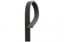 V-Ribbed Belt Seat VW 00-10