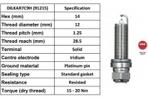 Spark Plug Nissan Renault 10-23