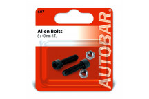 Autobar Allen Bolts 6mm x 40mm Pack of 2