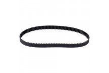 CAM BELT ACCENT 12V 99-04