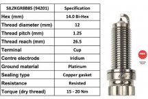 Spark Plug BMW Mini 13-24