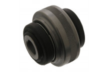 Mounting - Control/Trailing Arm Peugeot 99-09