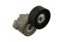 Tensioner Lever - V-Ribbed Belt Fiat Iveco 01-21